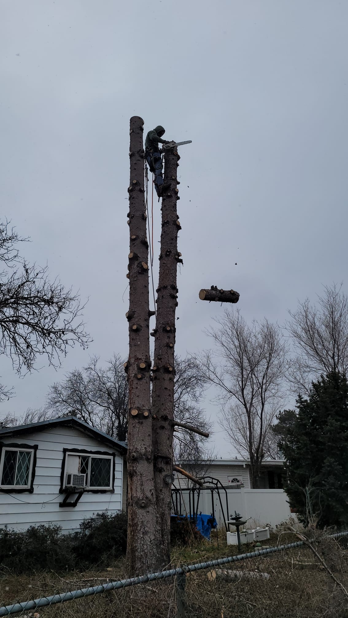 WhatsApp Image 2024-02-13 at 11.11.35 AM (1)