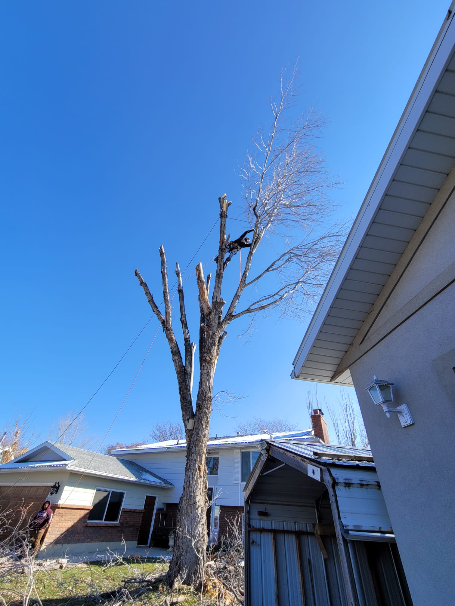 WhatsApp Image 2024-02-13 at 11.11.35 AM (4)