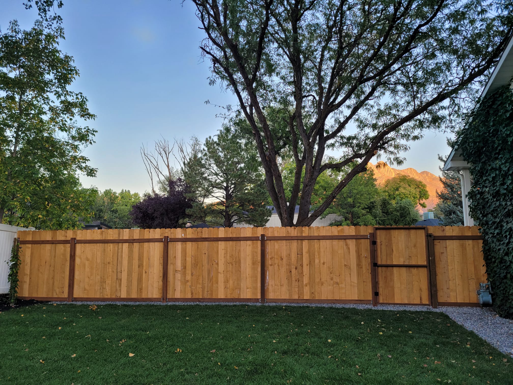 WhatsApp Image 2024-02-13 at 11.11.37 AM (3)