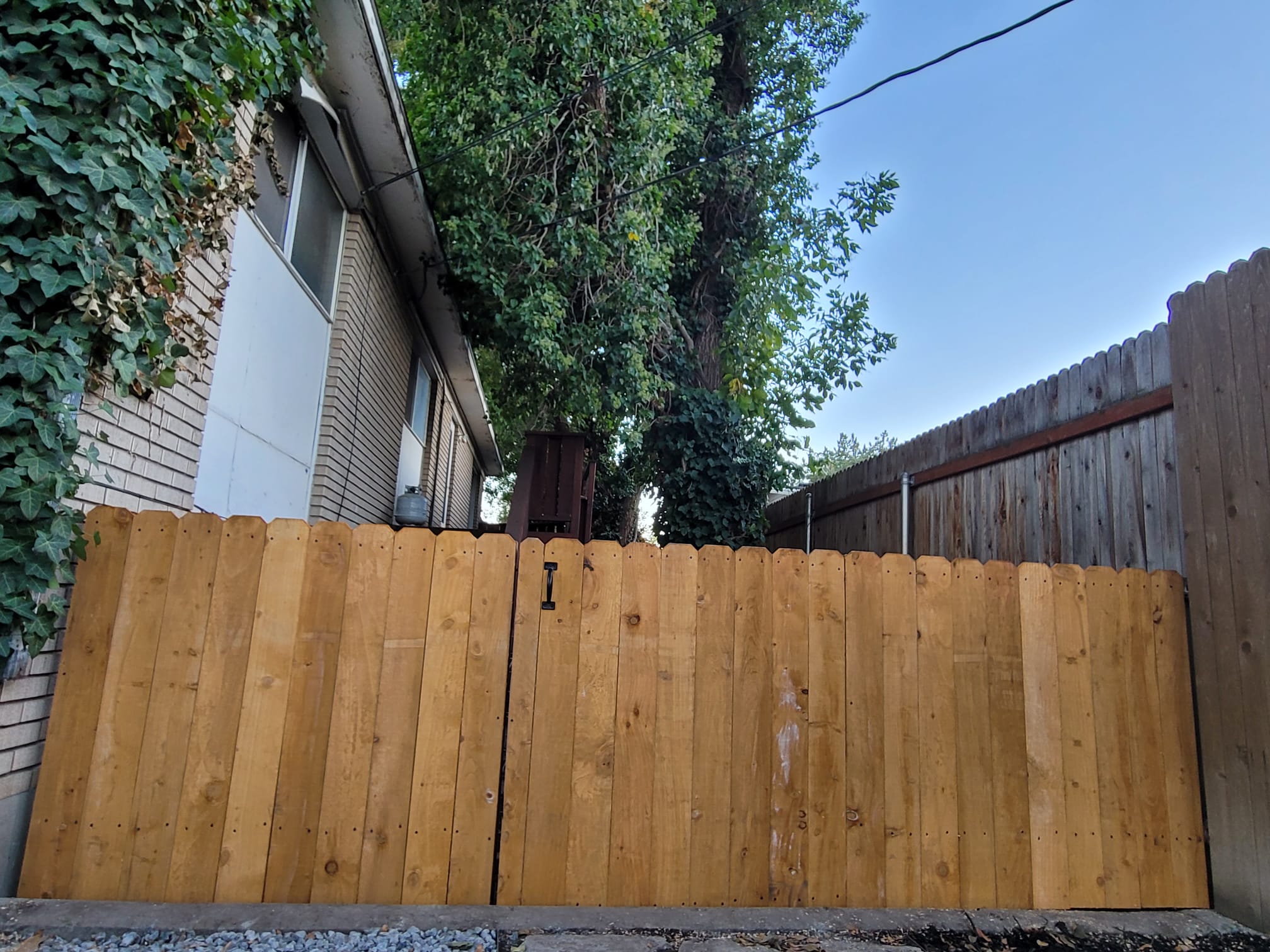 WhatsApp Image 2024-02-13 at 11.11.37 AM (4)