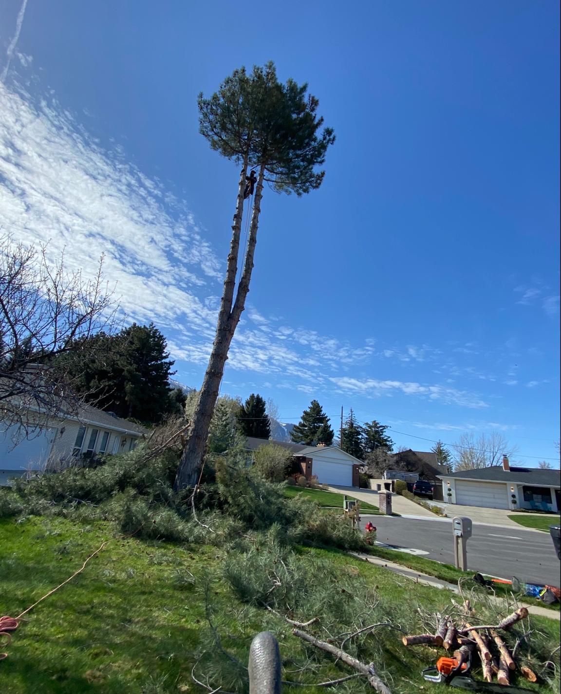 WhatsApp Image 2024-02-13 at 11.11.38 AM (2)