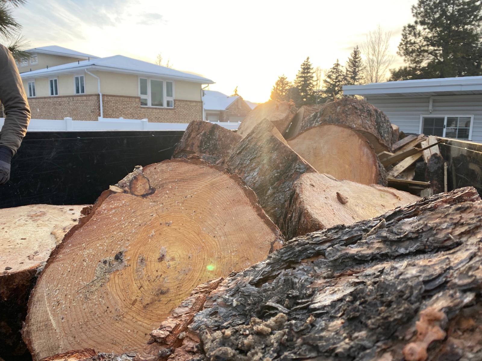 WhatsApp Image 2024-02-13 at 11.11.38 AM (3)