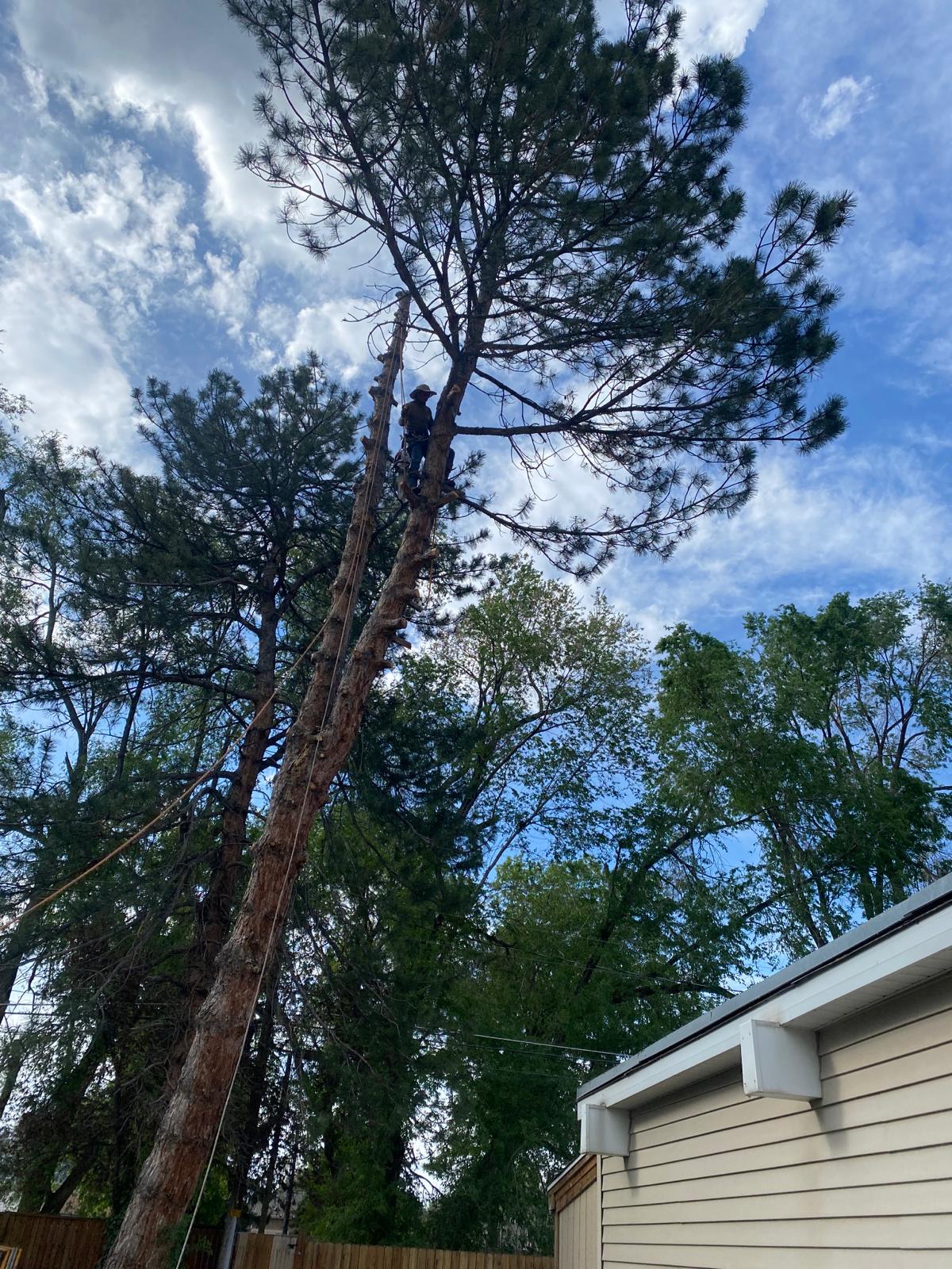 WhatsApp Image 2024-02-13 at 11.11.39 AM (2)