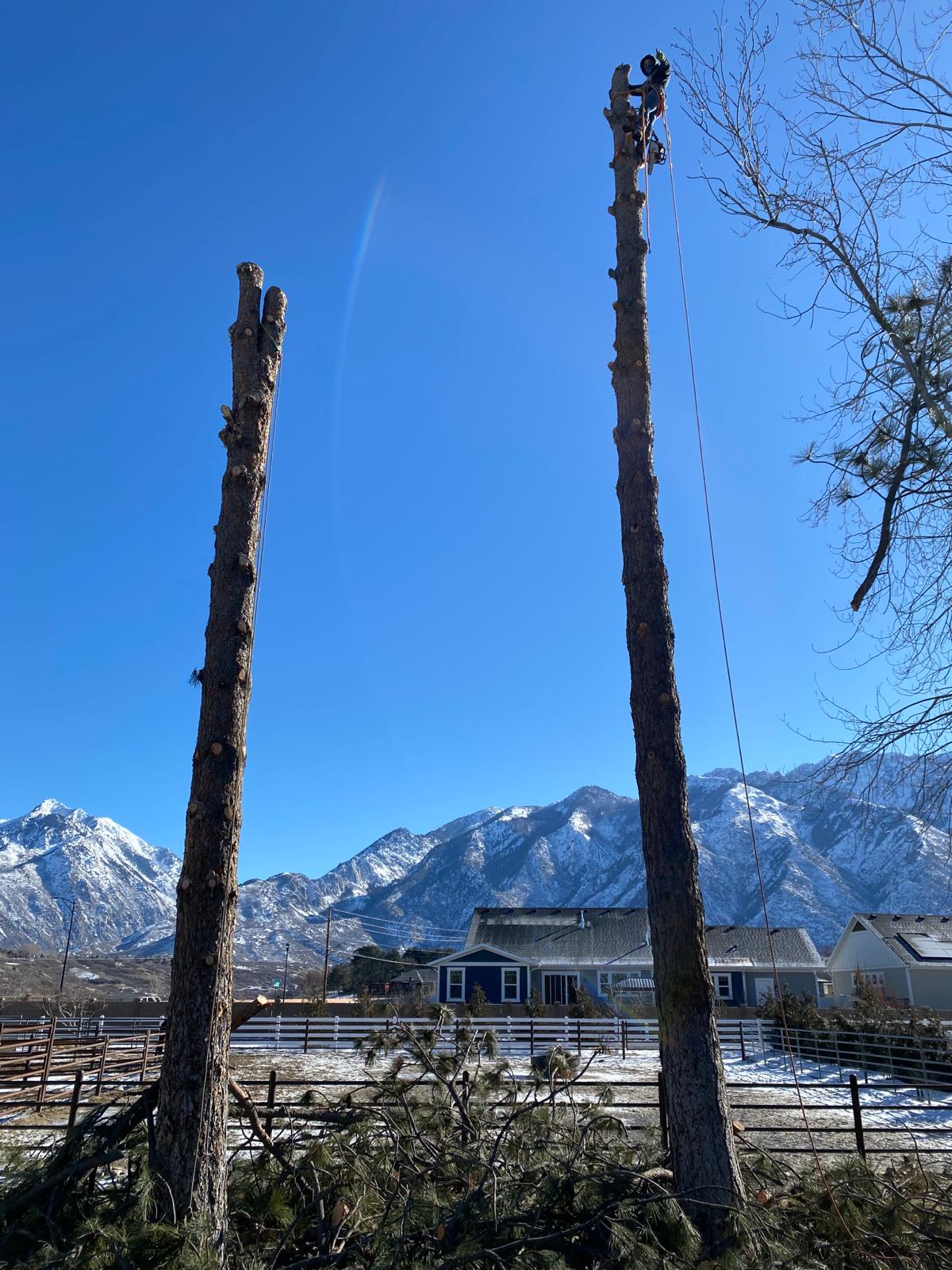 WhatsApp Image 2024-02-13 at 11.11.39 AM