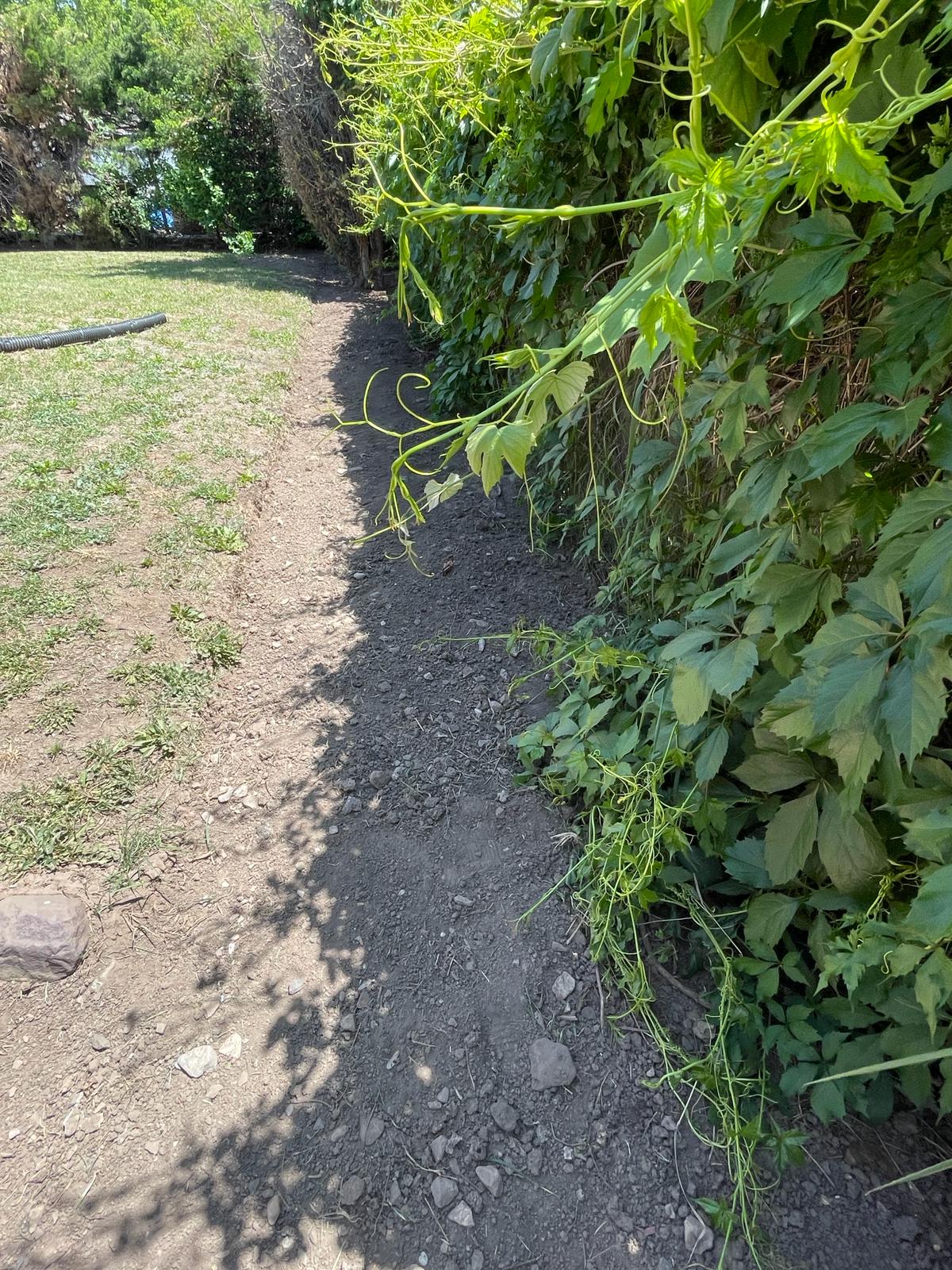 WhatsApp Image 2024-02-15 at 12.49.21 PM (2)