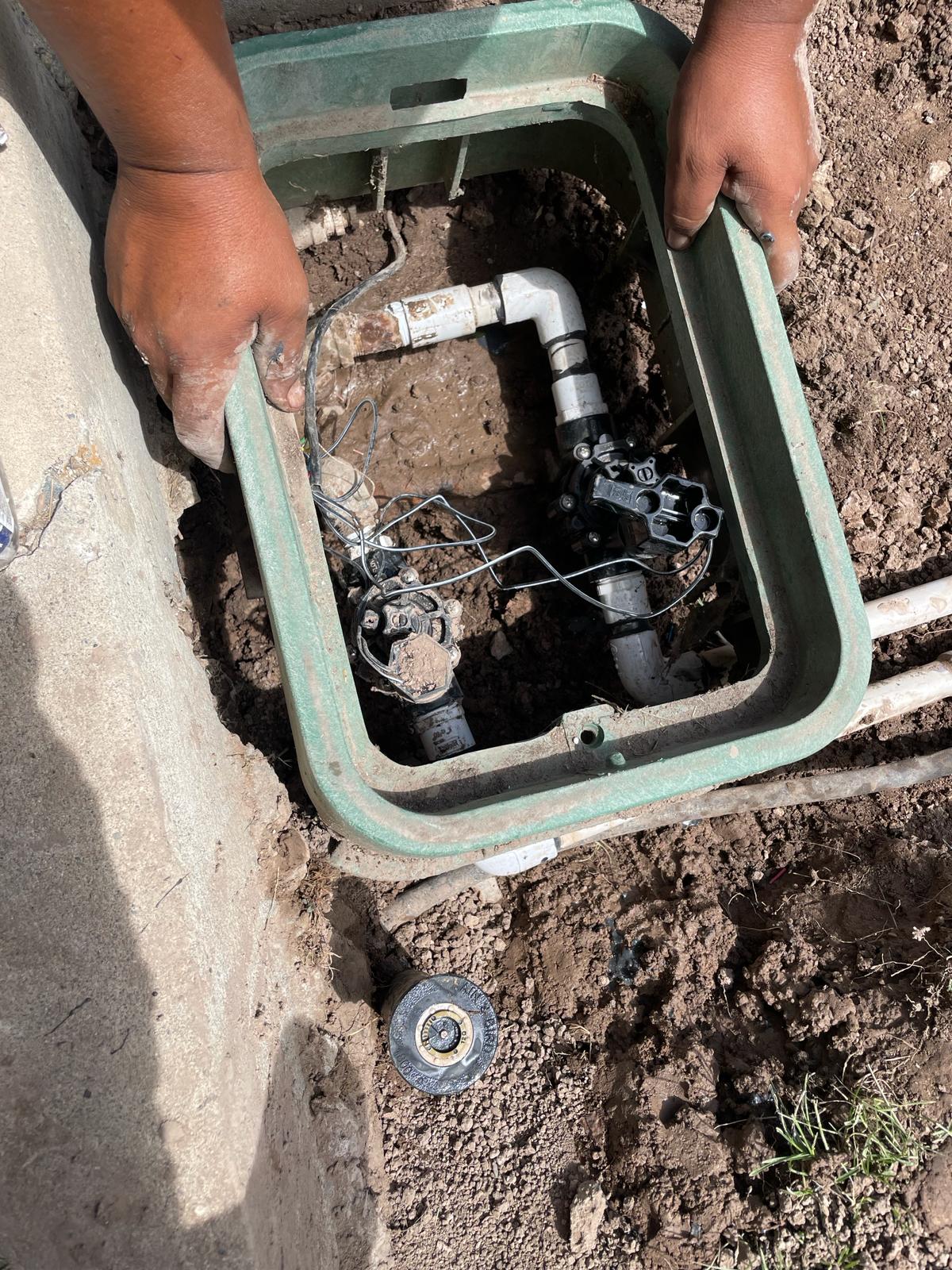 WhatsApp Image 2024-02-15 at 12.51.15 PM