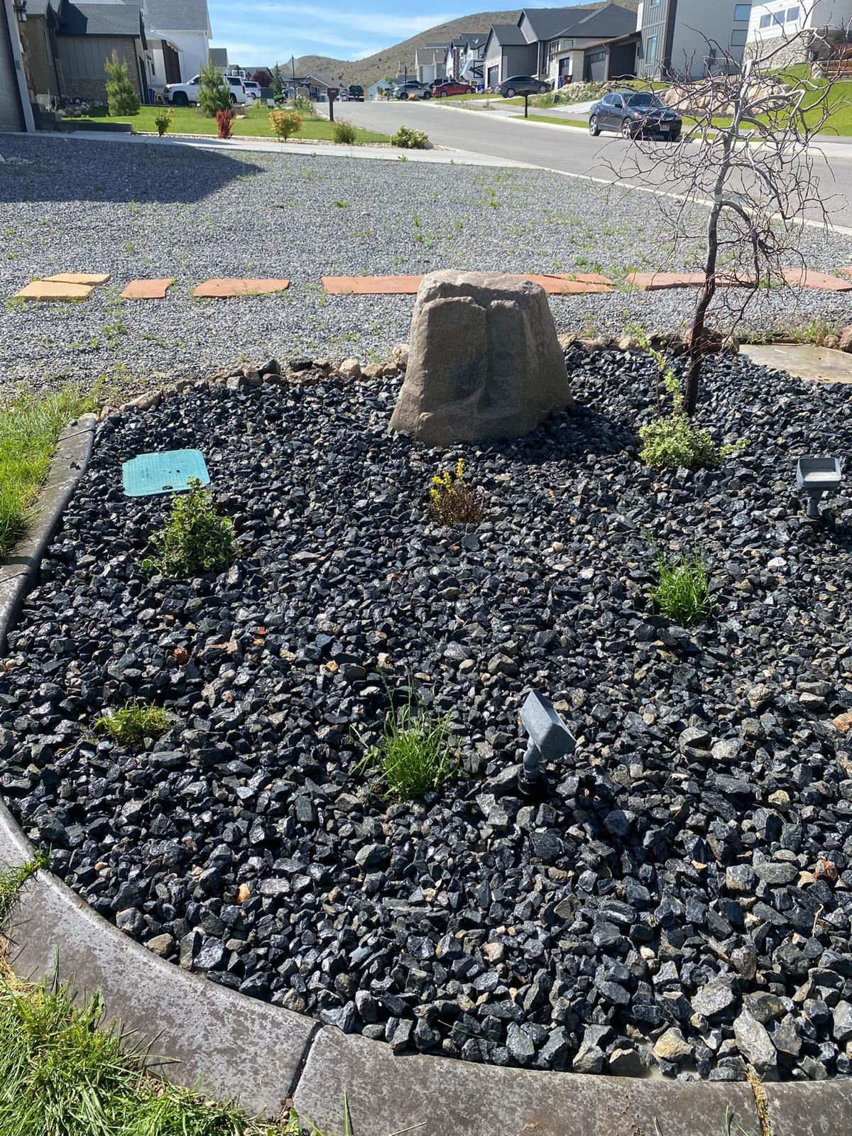 WhatsApp Image 2024-02-15 at 12.52.33 PM (1)